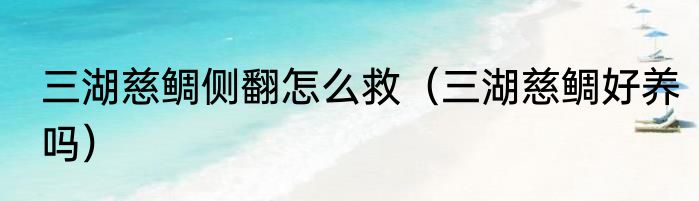 三湖慈鲷侧翻怎么救（三湖慈鲷好养吗）