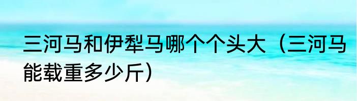 三河马和伊犁马哪个个头大（三河马能载重多少斤）