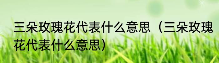 三朵玫瑰花代表什么意思（三朵玫瑰花代表什么意思）