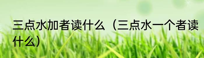 三点水加者读什么（三点水一个者读什么）