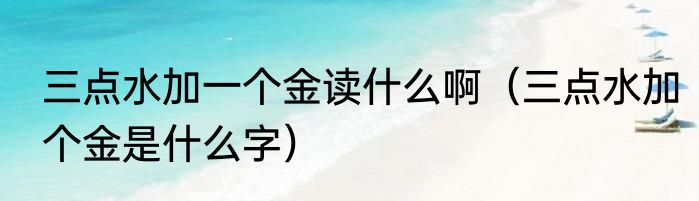 三点水加一个金读什么啊（三点水加个金是什么字）