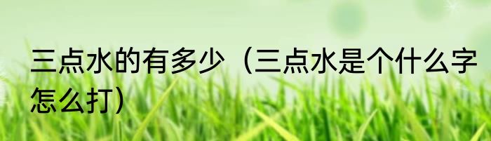 三点水的有多少（三点水是个什么字怎么打）