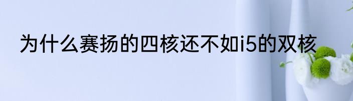 为什么赛扬的四核还不如i5的双核