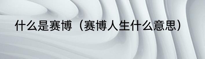 什么是赛博（赛博人生什么意思）