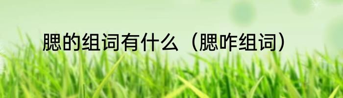 腮的组词有什么（腮咋组词）