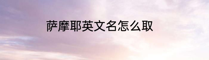 萨摩耶英文名怎么取