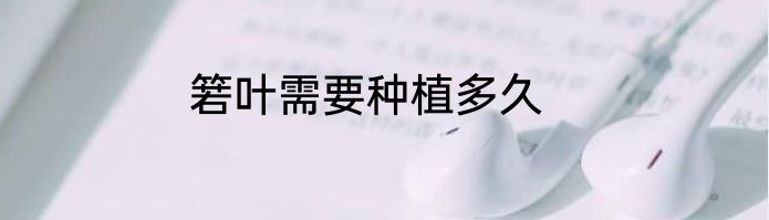 箬叶需要种植多久