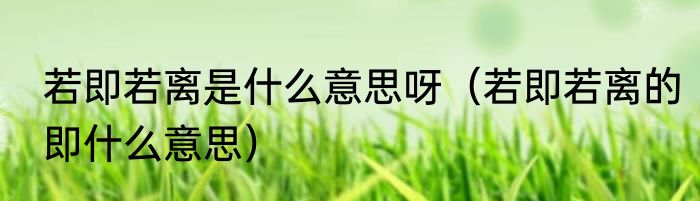 若即若离是什么意思呀（若即若离的即什么意思）