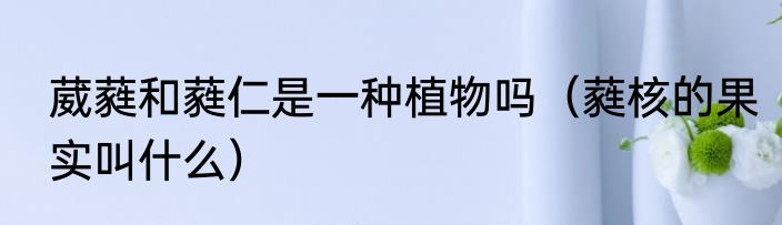 葳蕤和蕤仁是一种植物吗（蕤核的果实叫什么）
