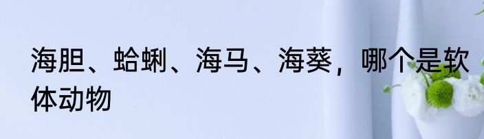 海胆、蛤蜊、海马、海葵，哪个是软体动物