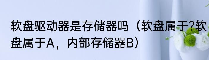 软盘驱动器是存储器吗（软盘属于?软盘属于A，内部存储器B）