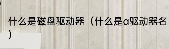 什么是磁盘驱动器（什么是a驱动器名）