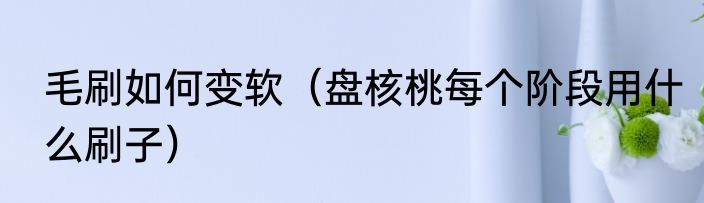 毛刷如何变软（盘核桃每个阶段用什么刷子）