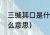三缄其口是什么意思（三缄其口是什么意思）