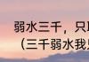 弱水三千，只取一瓢说的是什么意思（三千弱水我只取你一瓢什么意思）