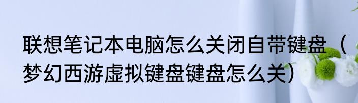 联想笔记本电脑怎么关闭自带键盘（梦幻西游虚拟键盘键盘怎么关）