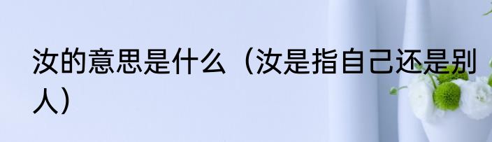 汝的意思是什么（汝是指自己还是别人）