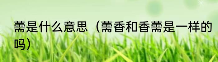 薷是什么意思（薷香和香薷是一样的吗）