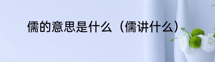 儒的意思是什么（儒讲什么）