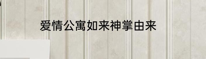 爱情公寓如来神掌由来