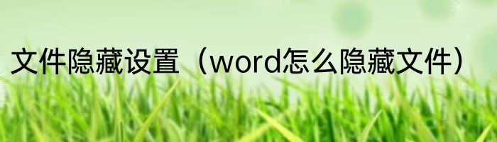 文件隐藏设置（word怎么隐藏文件）