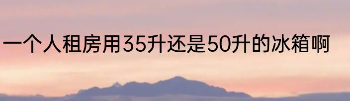 一个人租房用35升还是50升的冰箱啊