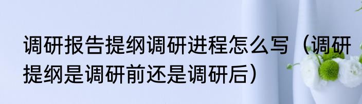 调研报告提纲调研进程怎么写（调研提纲是调研前还是调研后）