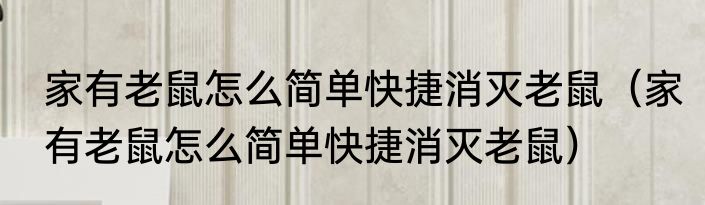家有老鼠怎么简单快捷消灭老鼠（家有老鼠怎么简单快捷消灭老鼠）