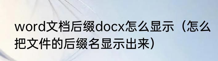 word文档后缀docx怎么显示（怎么把文件的后缀名显示出来）