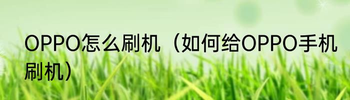 OPPO怎么刷机（如何给OPPO手机刷机）