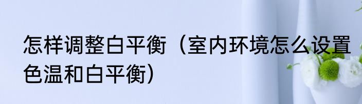 怎样调整白平衡（室内环境怎么设置色温和白平衡）