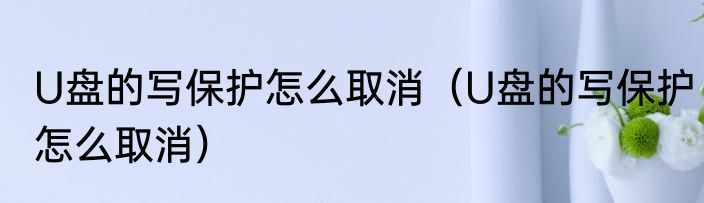 U盘的写保护怎么取消（U盘的写保护怎么取消）