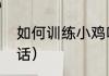 如何训练小鸡听话（如何训练小鸡听话）