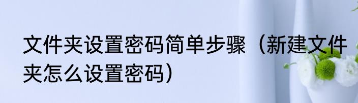 文件夹设置密码简单步骤（新建文件夹怎么设置密码）