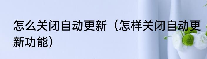 怎么关闭自动更新（怎样关闭自动更新功能）