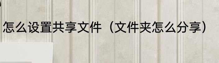怎么设置共享文件（文件夹怎么分享）