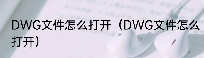 DWG文件怎么打开（DWG文件怎么打开）
