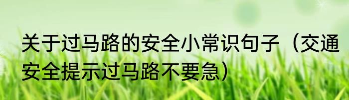 关于过马路的安全小常识句子（交通安全提示过马路不要急）