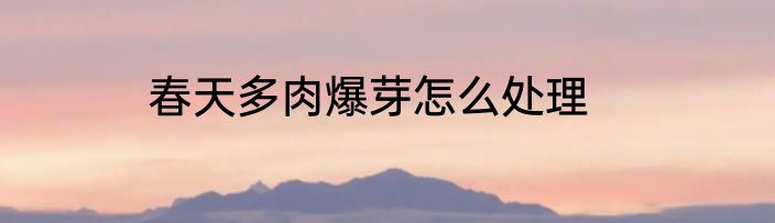 春天多肉爆芽怎么处理