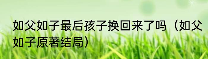 如父如子最后孩子换回来了吗（如父如子原著结局）