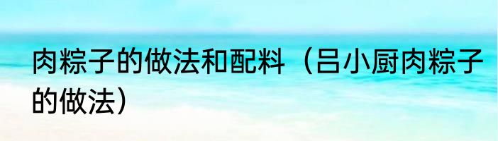 肉粽子的做法和配料（吕小厨肉粽子的做法）