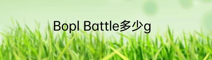 Bopl Battle多少g