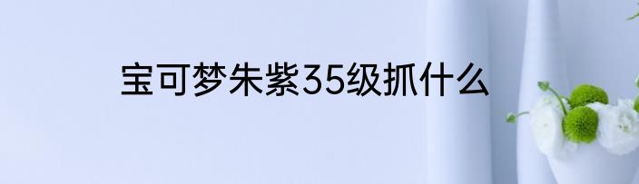 宝可梦朱紫35级抓什么