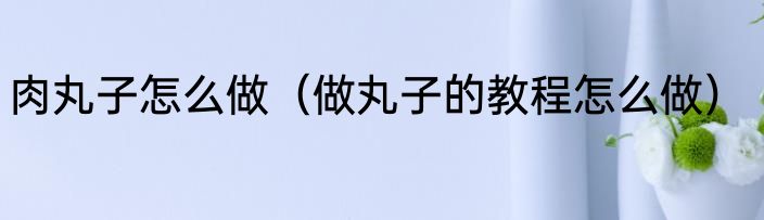 肉丸子怎么做（做丸子的教程怎么做）