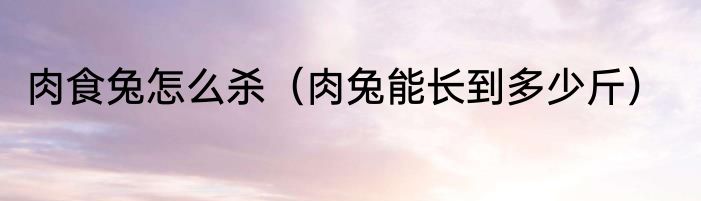 肉食兔怎么杀（肉兔能长到多少斤）