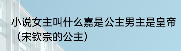 小说女主叫什么嘉是公主男主是皇帝（宋钦宗的公主）