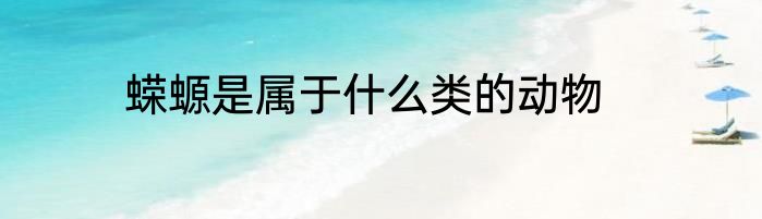 蝾螈是属于什么类的动物