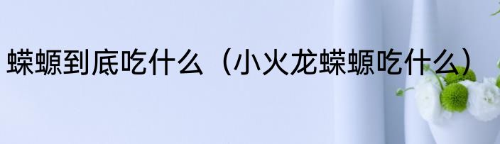 蝾螈到底吃什么（小火龙蝾螈吃什么）