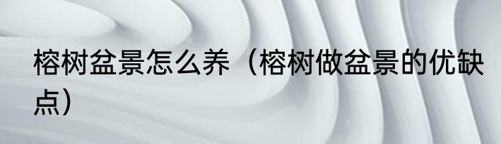 榕树盆景怎么养（榕树做盆景的优缺点）