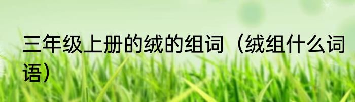 三年级上册的绒的组词（绒组什么词语）